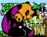 Disegno Mamma panda  pitturato su RAFFAELE