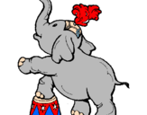 Disegno Elefante  pitturato su ALEX     farucci