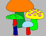 Disegno Funghi pitturato su fungopoli