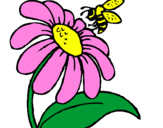 Disegno Margherita con ape  pitturato su ANNARITA