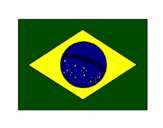 Disegno Brasile pitturato su tommaso