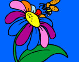 Disegno Margherita con ape  pitturato su ALESSIA