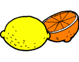 Disegno limone  pitturato su limoncello