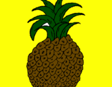 Disegno ananas  pitturato su lorenzo