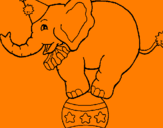 Disegno Elefante sulla palla  pitturato su giuseppe