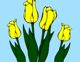 Disegno Tulipani  pitturato su STEFANA 