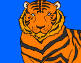 Disegno Tigre pitturato su matilde