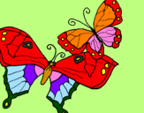 Disegno Farfalle pitturato su FEDERICO