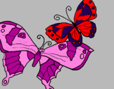 Disegno Farfalle pitturato su stefania