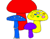 Disegno Funghi pitturato su GIORGIA