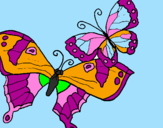 Disegno Farfalle pitturato su giulia c.