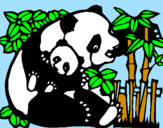 Disegno Mamma panda  pitturato su liù