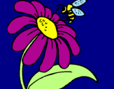 Disegno Margherita con ape  pitturato su ,n,m ,n ,,hnmnkmnm,nm bn 