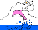 Disegno Delfino e gabbiano  pitturato su raffaele salzano