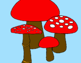 Disegno Funghi pitturato su giada