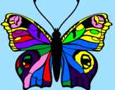 Disegno Farfalla pitturato su SOFIA
