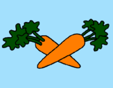 Disegno carote  pitturato su STEFANA