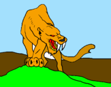 Disegno Tigre con affilati canini  pitturato su alessio