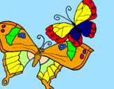 Disegno Farfalle pitturato su bianca