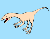 Disegno Velociraptor II pitturato su checco