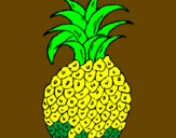 Disegno ananas  pitturato su carla