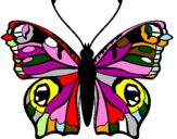 Disegno Farfalla pitturato su chiara