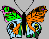 Disegno Farfalla pitturato su margherita