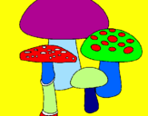 Disegno Funghi pitturato su viola