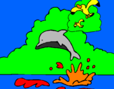 Disegno Delfino e gabbiano  pitturato su antonia
