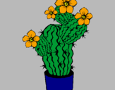 Disegno Fiori di cactus  pitturato su federico
