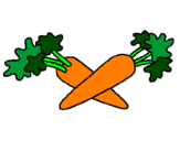 Disegno carote  pitturato su ELISA
