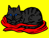 Disegno Gatto nel suo lettino  pitturato su flavio