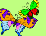 Disegno Farfalle pitturato su vale