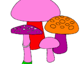 Disegno Funghi pitturato su Martina