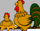 Disegno Gallo e gallina  pitturato su paolo