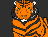 Disegno Tigre pitturato su il migliore vincenzo 