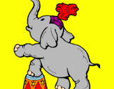 Disegno Elefante  pitturato su alessia