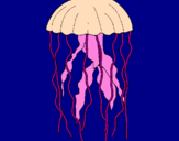 Disegno Medusa  pitturato su Tentacolo