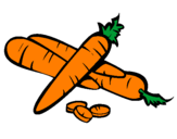 Disegno Carote II pitturato su carota