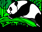 Disegno Oso panda che mangia  pitturato su giovanni