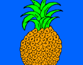 Disegno ananas  pitturato su CHIARA