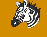 Disegno Zebra II pitturato su RICCARDO        MONTI