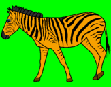 Disegno Zebra  pitturato su daniel barrel  cavalli
