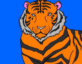 Disegno Tigre pitturato su ChiaraG