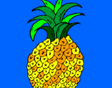 Disegno ananas  pitturato su andreea