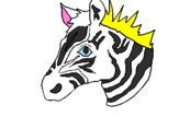 Disegno Zebra II pitturato su EMANUELE