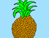 Disegno ananas  pitturato su MARTINA