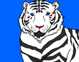 Disegno Tigre pitturato su patrick e silvia