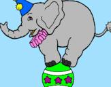 Disegno Elefante sulla palla  pitturato su nic                      