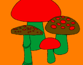 Disegno Funghi pitturato su simone